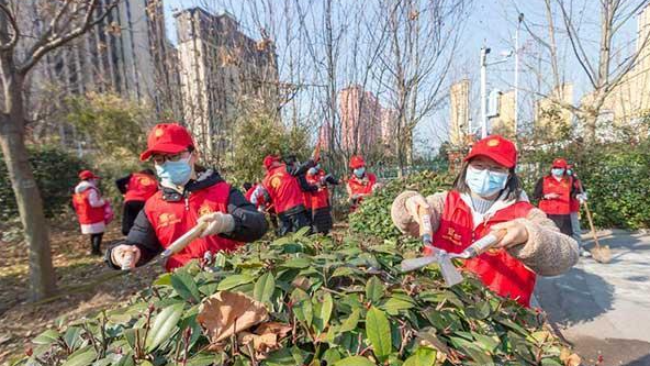 一城溫暖色 最是“志愿紅”